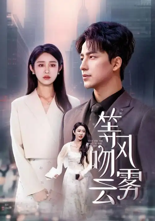 长夜灯书热播电视剧全集在线观看